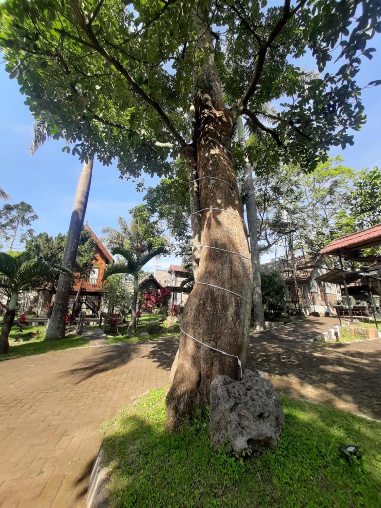 De'Rumah Rindu Alam Batu  Dış mekan fotoğraf